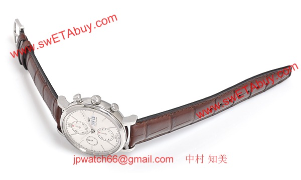 IWC IW391001 コピー 時計[1]